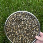 Каменный ковер Budap: природная красота для вашего сада